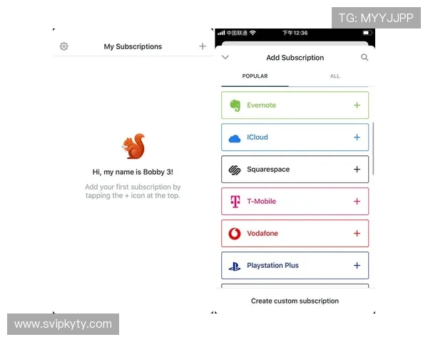 掌握Kaiyun开云VIP激活流程,轻松开启尊贵会员身份享受专属福利
