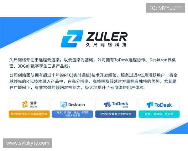 揭秘开云官方网址的安全性与用户体验的关系